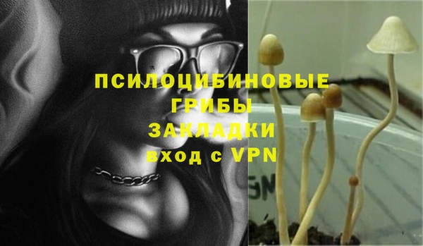 ПСИЛОЦИБИНОВЫЕ ГРИБЫ Карталы