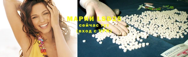 ПСИЛОЦИБИНОВЫЕ ГРИБЫ Карталы