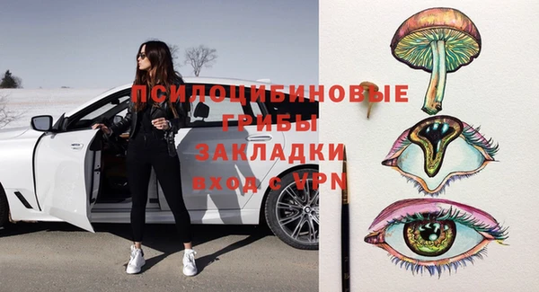 ПСИЛОЦИБИНОВЫЕ ГРИБЫ Карталы