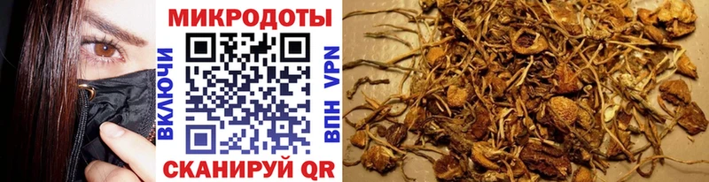 Псилоцибиновые грибы Psilocybine cubensis  Купить  Белоярский 
